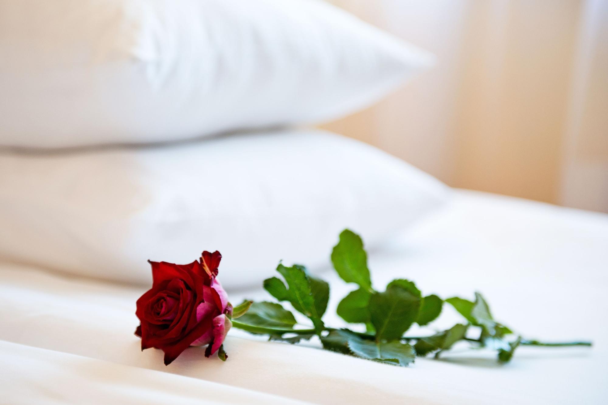 Best Baltic Hotel Palanga Eksteriør billede